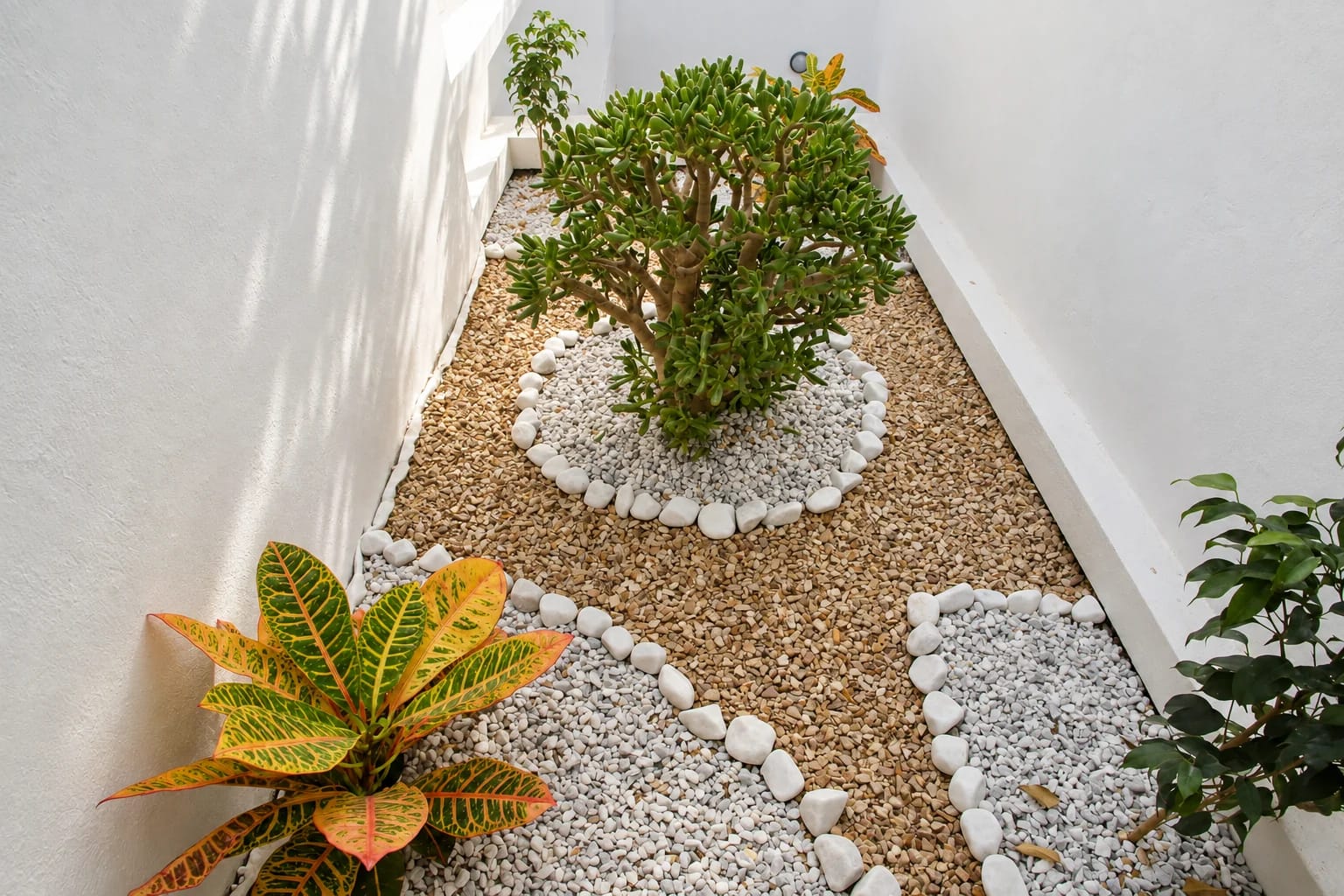 Jardin intérieur · Photo retouchée